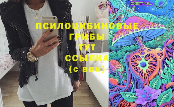 ешки Горнозаводск
