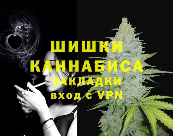крисы Горняк