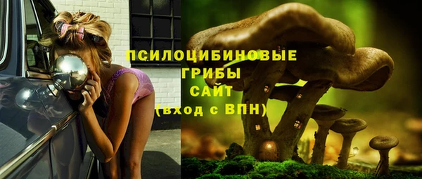 крисы Горняк