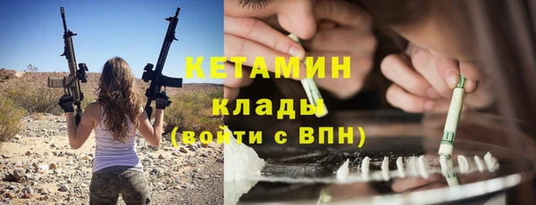 крисы Горняк